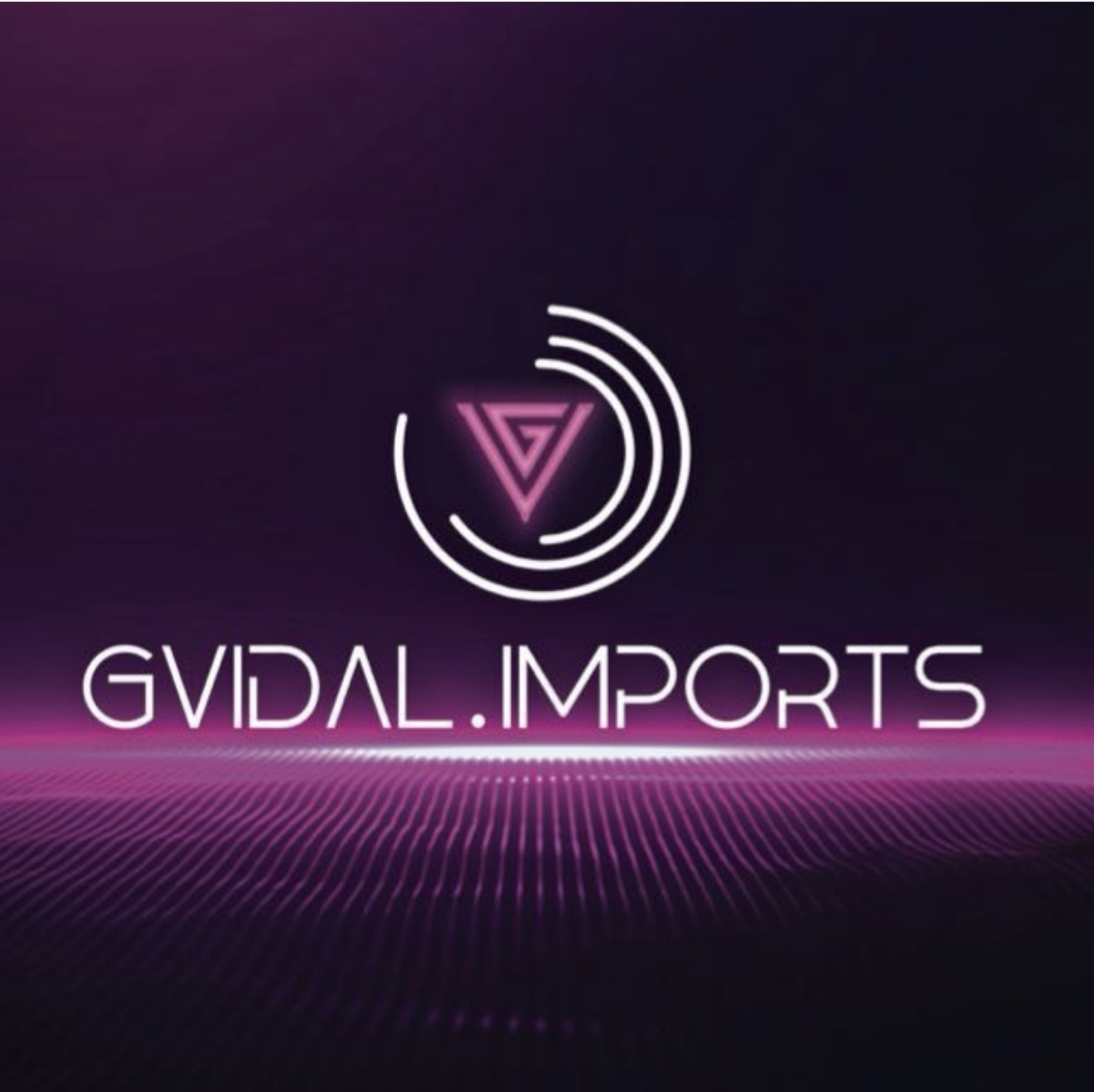 G Vidal Imports